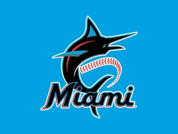 Digital Marketing Plan Miami&nbsp;Marlins